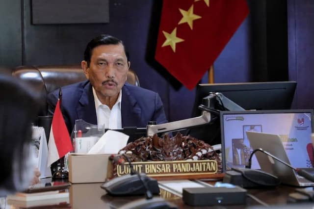 Luhut Ingin PeduliLindungi Ada Fitur Pembayaran Digital