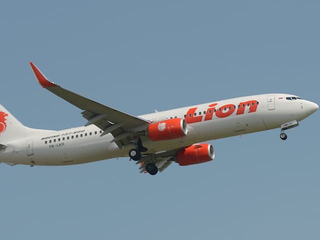 Tanggapan Lion Air tentang Viral Balita Disuruh Bawa Bagasi Sendiri