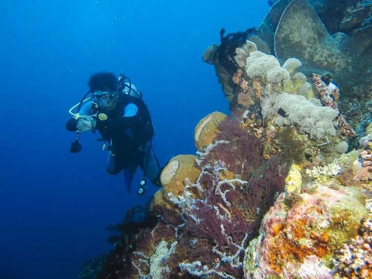 Taman Laut Olele, Surga Tersembunyi di Gorontalo