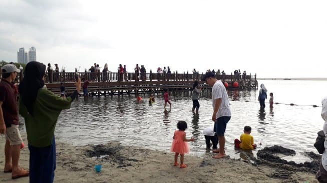 Usaha Ancol Restorasi Pesisir Jakarta Lewat Kerang Hijau