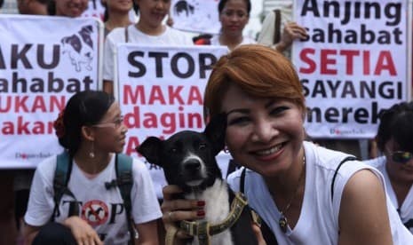 Yogyakarta Siapkan Peraturan Larangan Konsumsi Daging Anjing